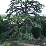 Domaine De Chantageasse בית הארחה