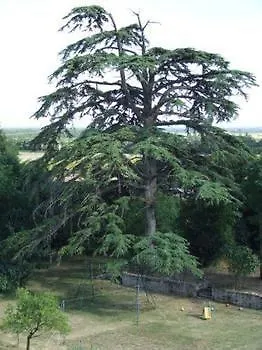 Domaine De Chantageasse Pensión
